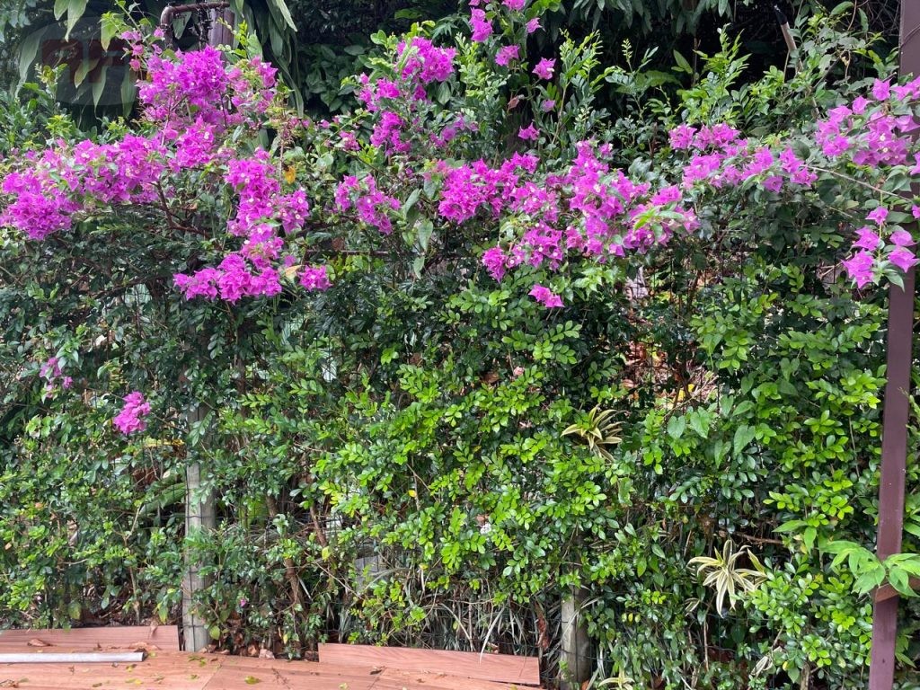 VENDE SE CASA EM GUAPIMIRIM